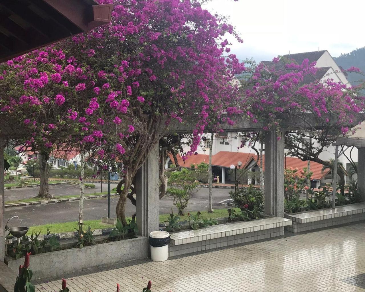 Thatniceplace In Selesa Hillhome, Bukit Tinggi, Bentong, Genting Eksteriør billede